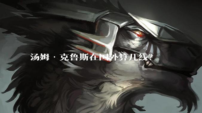 汤姆·克鲁斯在国外算几线？