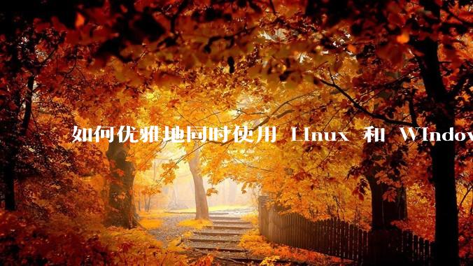 如何优雅地同时使用 Linux 和 Windows 两个系统?