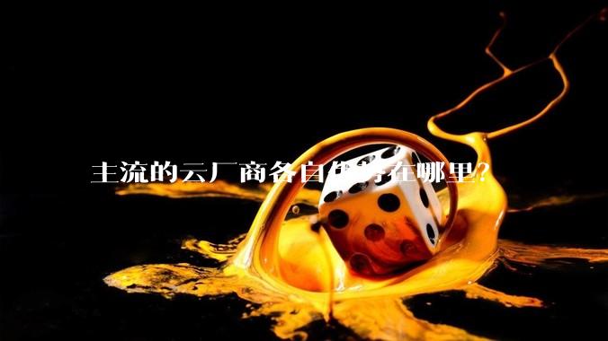主流的云厂商各自优势在哪里？