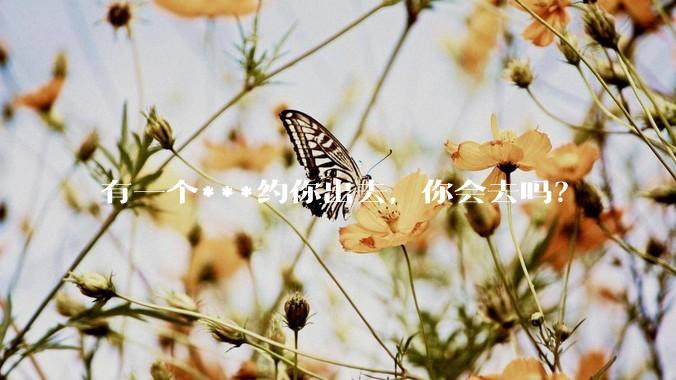 有一个***约你出去，你会去吗？